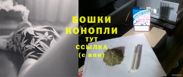 гашик Нефтекумск