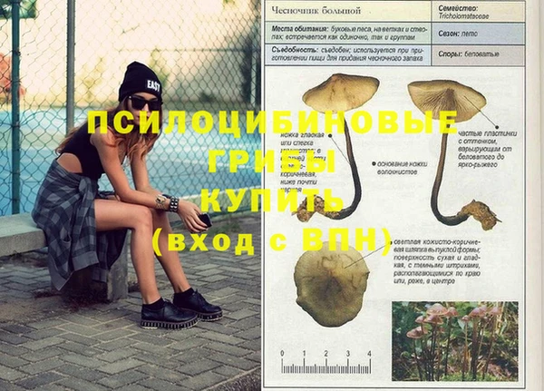 гашик Нефтекумск