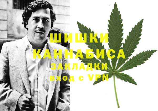 гашик Нефтекумск
