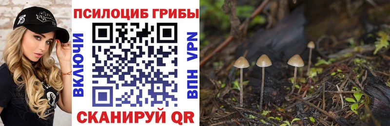 Купить закладки  Апатиты  Галлюциногенные грибы мухоморы 