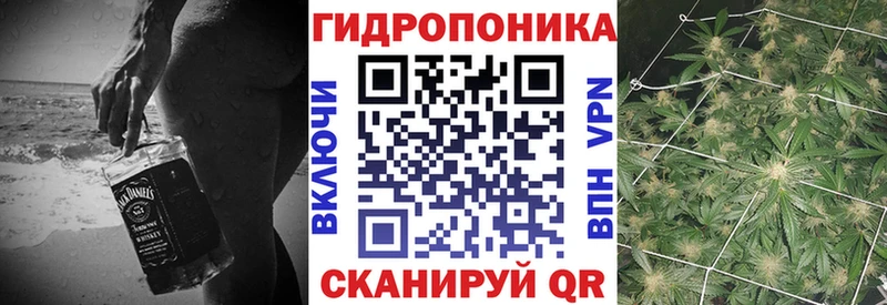 Каннабис семена  Купить где  Апатиты 